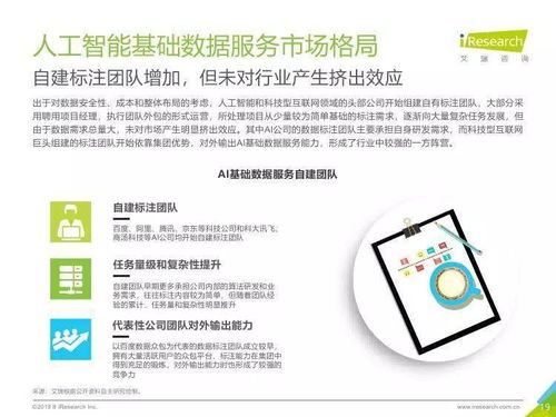 中国人工智能基础数据服务行业报告 人工智能基础软件开发的动力引擎与未来趋势